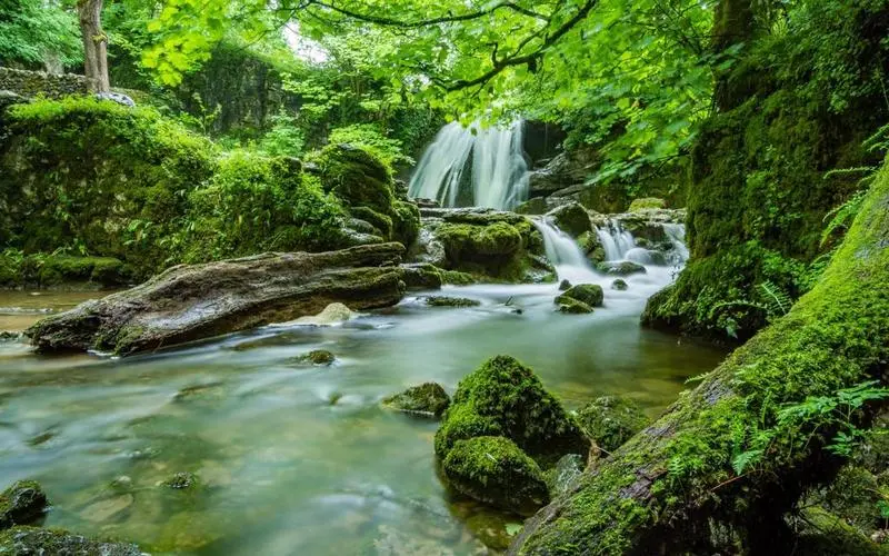 高质量稳定性高标准